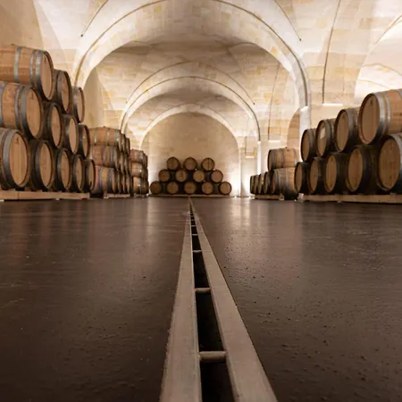 Séjour à la ferme Gianfranco Fino Viticoltore Mandurie
