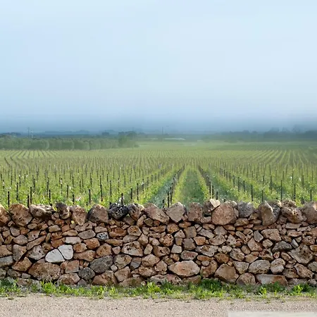Alojamento de Turismo Rural Gianfranco Fino Viticoltore *